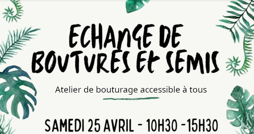 Bourse d’échange de plantes et atelier bouturage