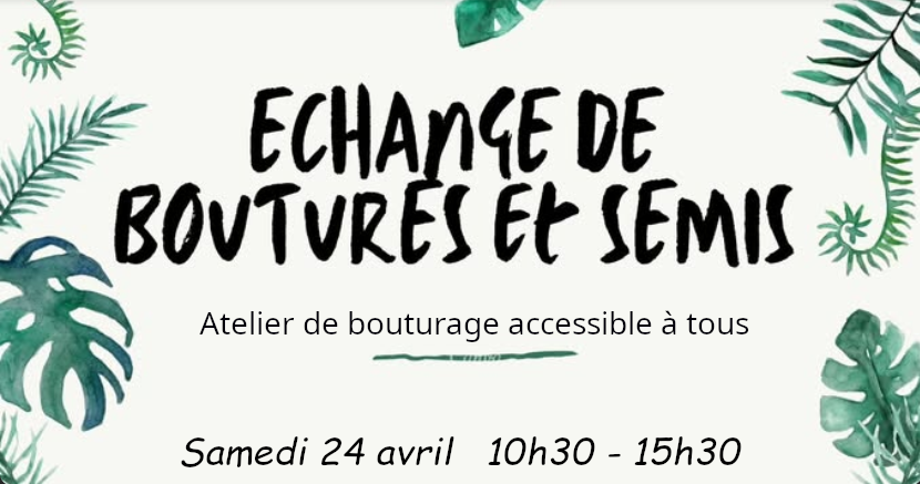 Bourse d’échange de plantes et atelier bouturage